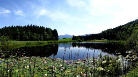 Naturschutzgebiet " Egelsee"